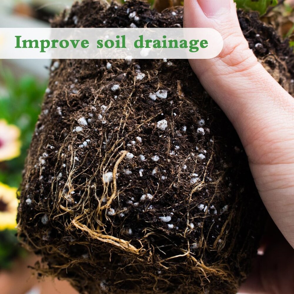 Perlite, 10QT Premium Organic Perlite for Plants, Enhances Soil Drainage - Picture 6 of 6